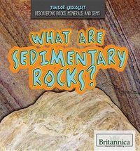 Cover image for What Are Sedimentary Rocks?