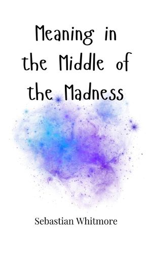 Cover image for Meaning in the Middle of the Madness