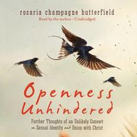 Cover image for Openness Unhindered