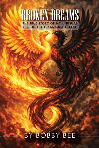 Cover image for Broken Dreams