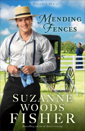 Cover image for Mending Fences