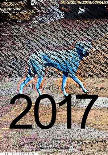 Cover image for Katja Novitskova: Ringier 2017
