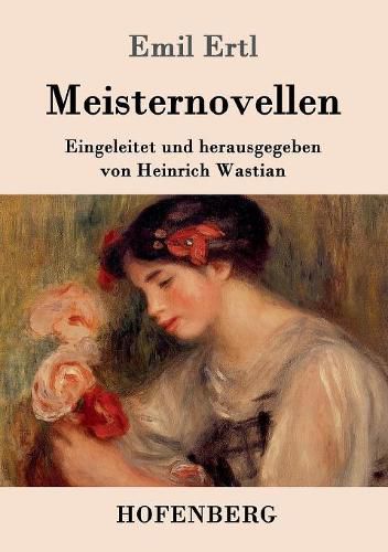 Cover image for Meisternovellen