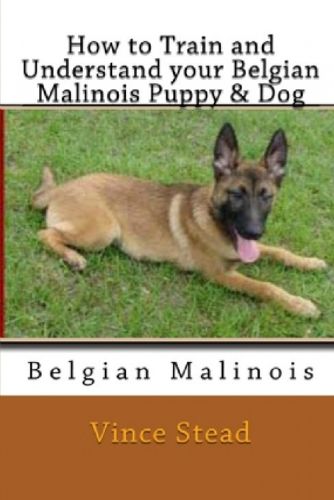 Cover image for How to Train and Understand Your Belgian Malinois Puppy & Dog