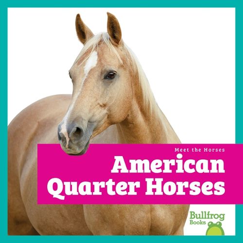 Cover image for American Quarter Horses