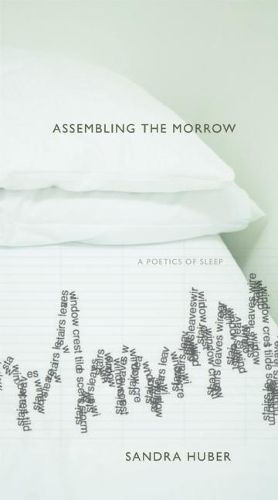 Cover image for Assembling the Morrow: A Poetics of Sleep