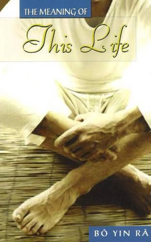 Cover image for Meaning of this Life