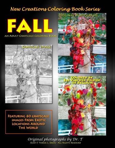 Cover image for New Creations Coloring Book Series: Fall