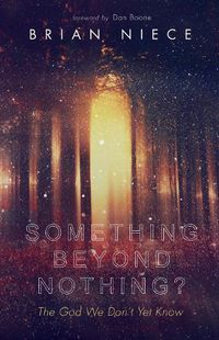 Cover image for Something Beyond Nothing?: The God We Don't Yet Know