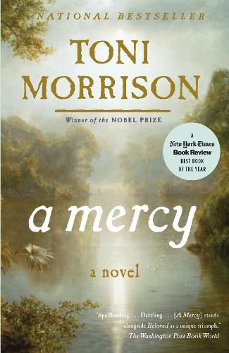 Cover image for A Mercy
