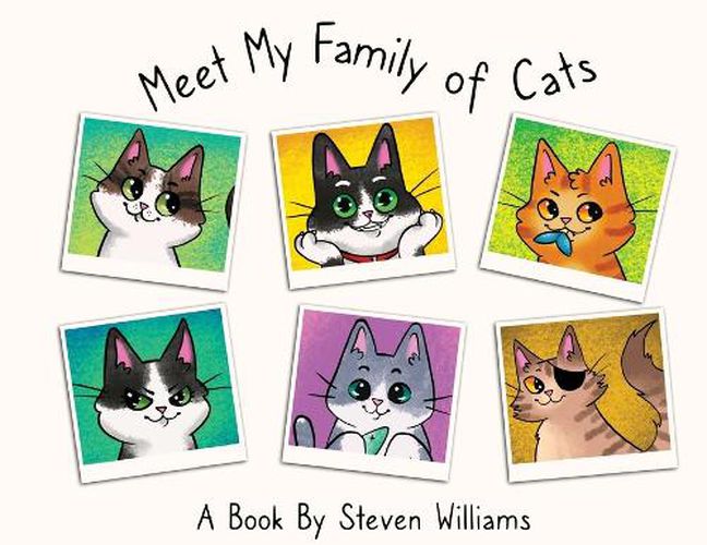 Cover image for Meet My Family of Cats