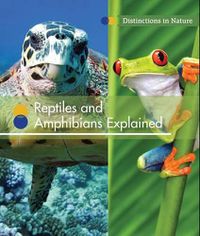 Cover image for Reptiles and Amphibians Explained