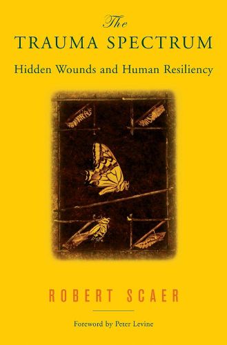 Cover image for The Trauma Spectrum: Hidden Wounds and Human Resiliency