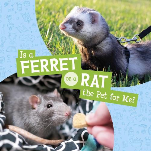 Cover image for Is a Ferret or a Rat the Pet for Me?