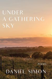 Cover image for Under a Gathering Sky