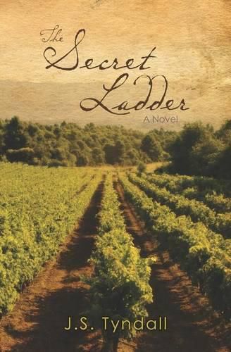 Cover image for The Secret Ladder