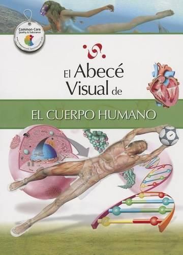 Cover image for El Abece Visual del Cuerpo Humano