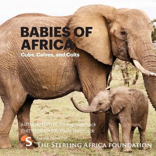 Cover image for Babies of Africa: Cubs, Calves and Colts