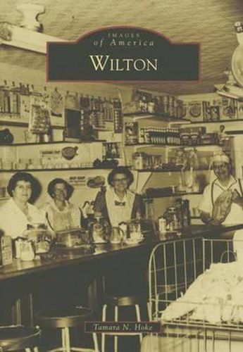 Cover image for Wilton