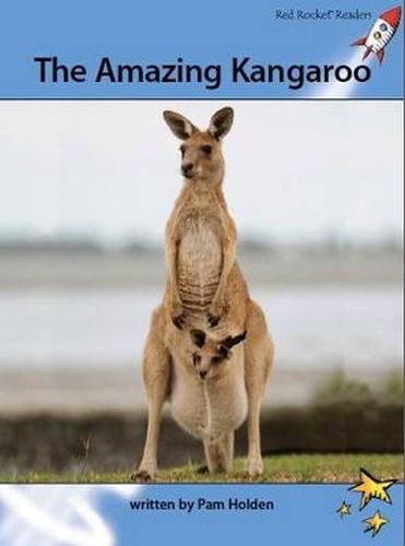 Cover image for Red Rocket Readers: Advanced Fluency 4 Non-Fiction Set A: The Amazing Kangaroo (Reading Level 29/F&P Level S)
