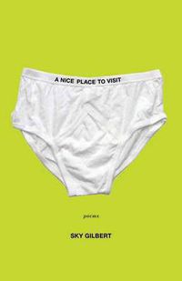 Cover image for Nice Place to Visit