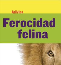 Cover image for Ferocidad Felina (Fiercely Feline): Leon (Lion)