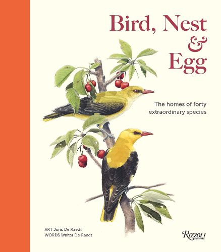 Cover image for Bird, Nest & Egg