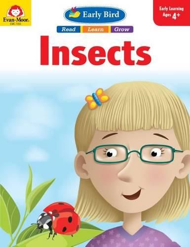 Early Bird: Insects, Prek Workbook