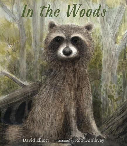 Cover image for In the Woods
