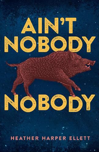 Cover image for Ain't Nobody Nobody