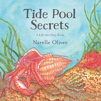 Cover image for Tide Pool Secrets