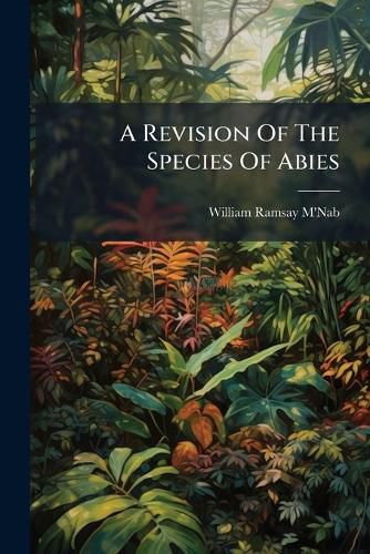 Cover image for A Revision Of The Species Of Abies