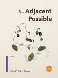 Cover image for The Adjacent Possible
