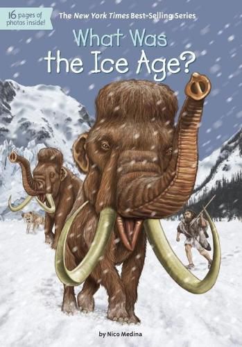 What Was the Ice Age?