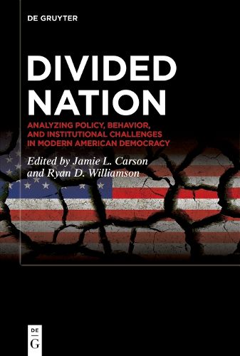 Cover image for Divided Nation