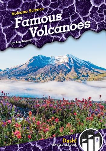 Cover image for Famous Volcanoes