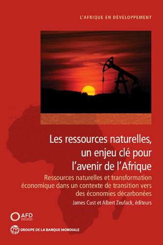 Cover image for Les ressources naturelles, un enjeu cle pour l'avenir de I'Afrique