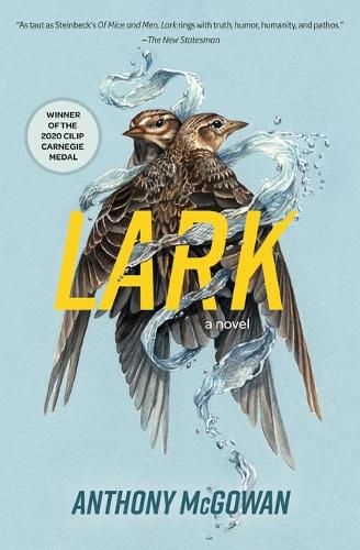 Cover image for Lark