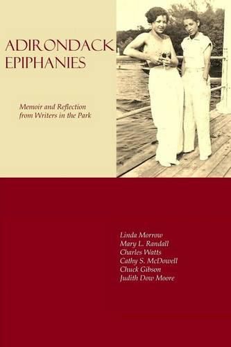 Cover image for Adirondack Epiphanies