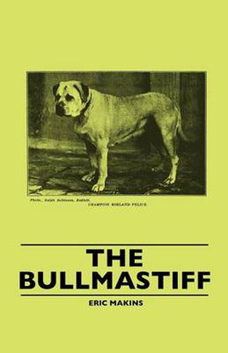 Cover image for The Bullmastiff
