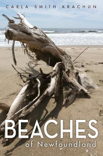 Cover image for Beaches of Newfoundland