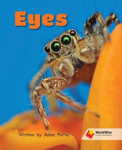 Cover image for Eyes