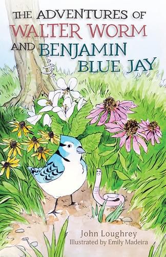 Cover image for The Adventures of Walter Worm and Benjamin Blue Jay