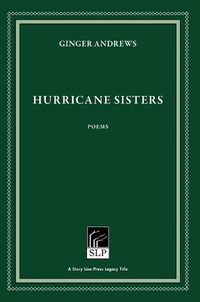 Cover image for Hurricane Sisters