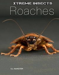 Cover image for Roaches