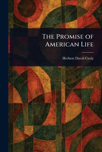 Cover image for The Promise of American Life