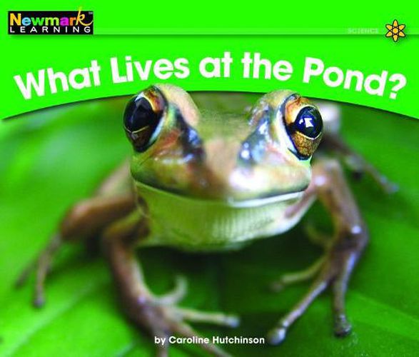 Cover image for What Lives at the Pond? Leveled Text