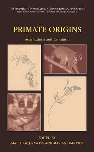 Cover image for Primate Origins: Adaptations and Evolution