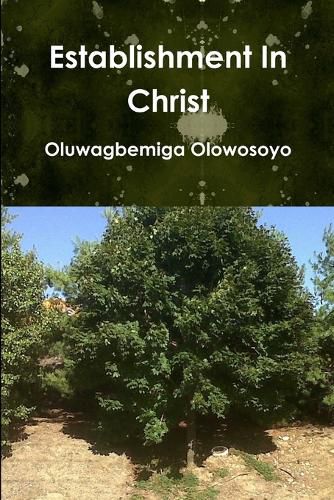 Cover image for Establishment in Christ