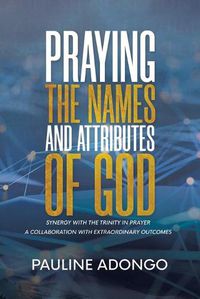 Cover image for Praying the Names and Attributes of God: Synergy with the Trinity in Prayer a Collaboration with Extraordinary Outcomes